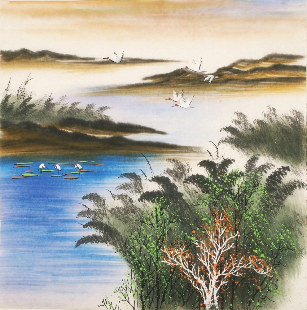 Aquarene - CNAG004592