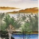 Aquarene - CNAG004594