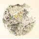 Other Landscape - CNAG004602