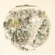 Other Landscape - CNAG004626