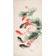 Fish - CNAG000466