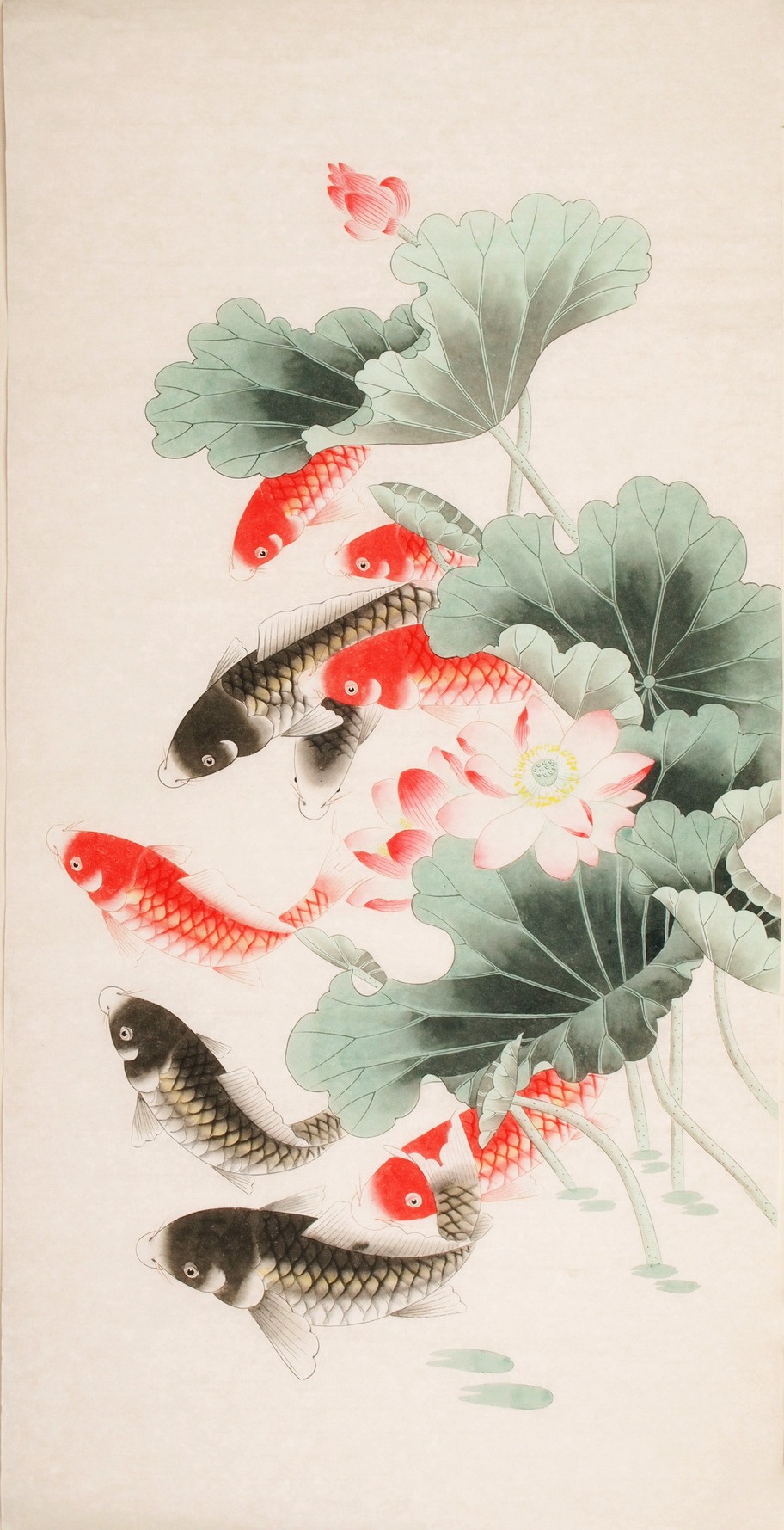 Fish - CNAG000466