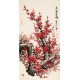 Plum - CNAG000467