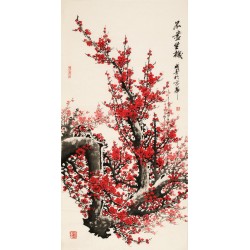 Plum - CNAG000467