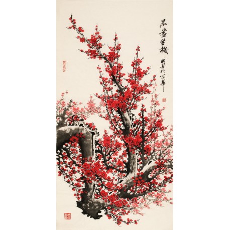Plum - CNAG000467