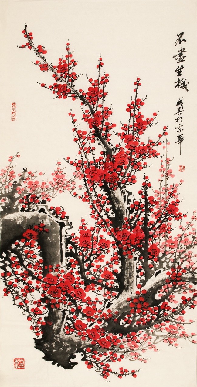 Plum - CNAG000467