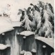Other Landscape - CNAG004687