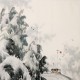 Other Landscape - CNAG004688
