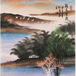 Other Landscape - CNAG004690