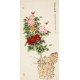 Peony - CNAG000470