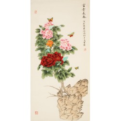 Peony - CNAG000470