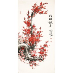 Plum - CNAG000477