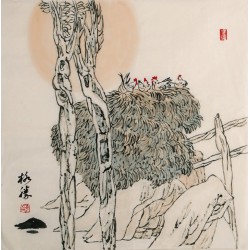 Other Landscape - CNAG004767