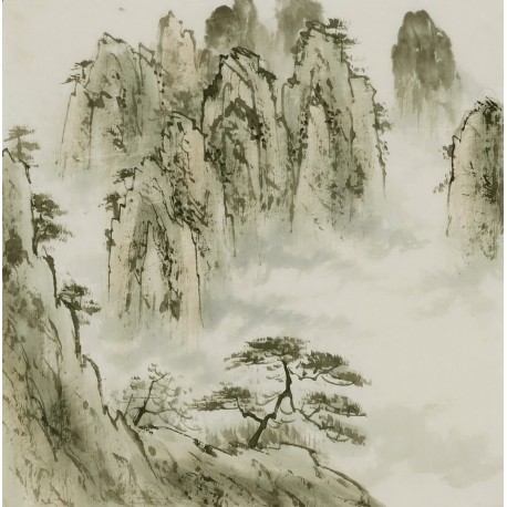 Other Landscape - CNAG004777
