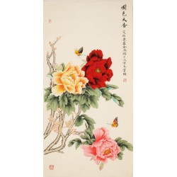 Peony - CNAG000482
