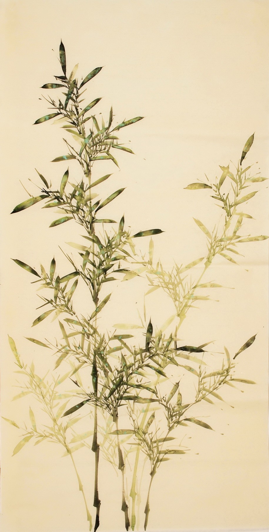 Green Bamboo - CNAG000484