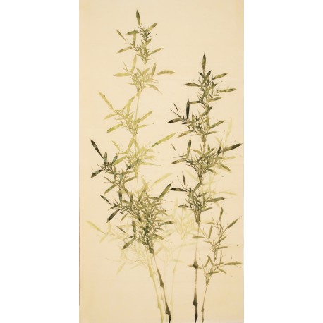 Green Bamboo - CNAG000486