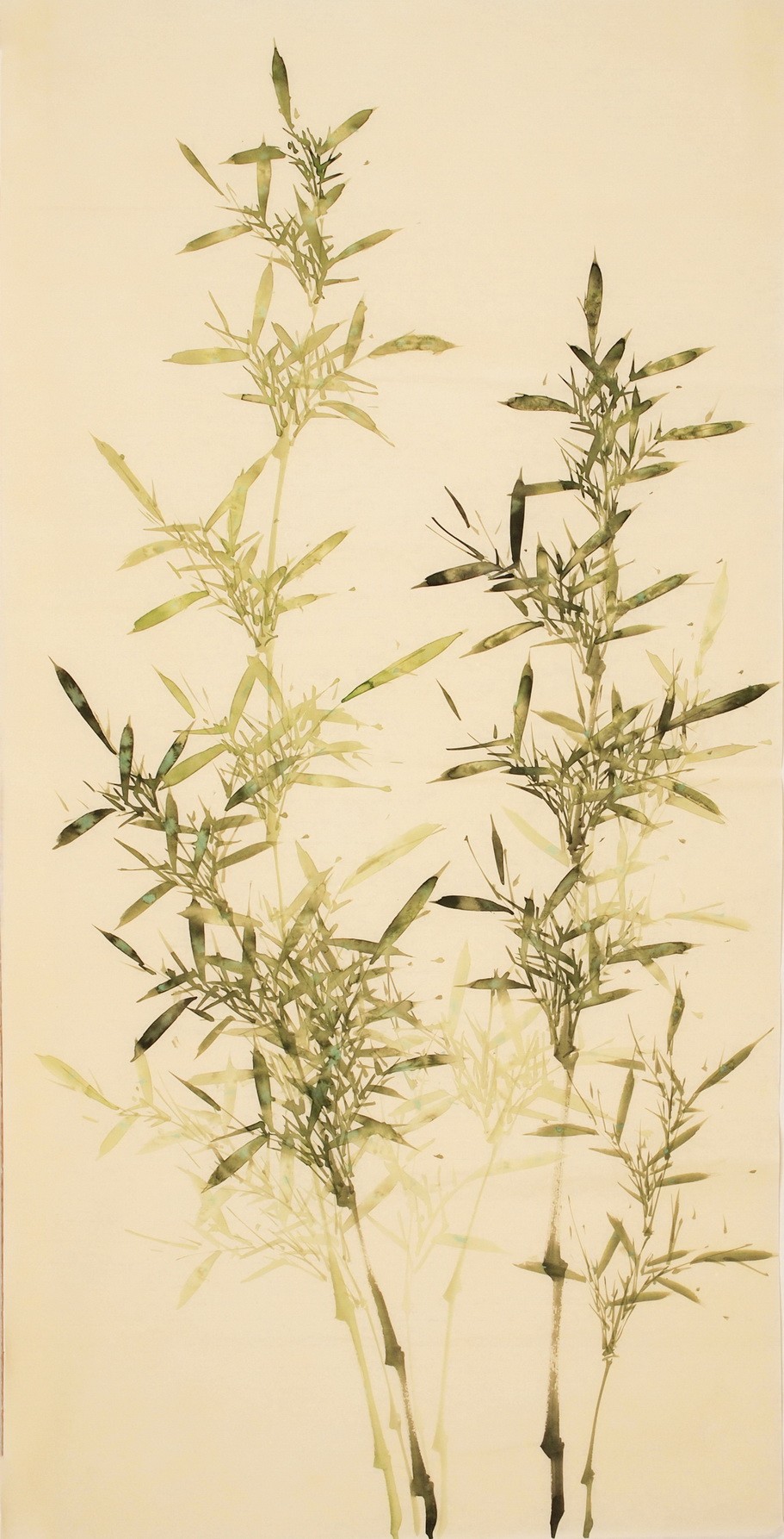 Green Bamboo - CNAG000486