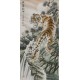 Tiger - CNAG000049