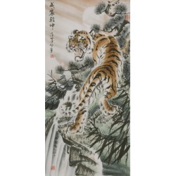 Tiger - CNAG000049