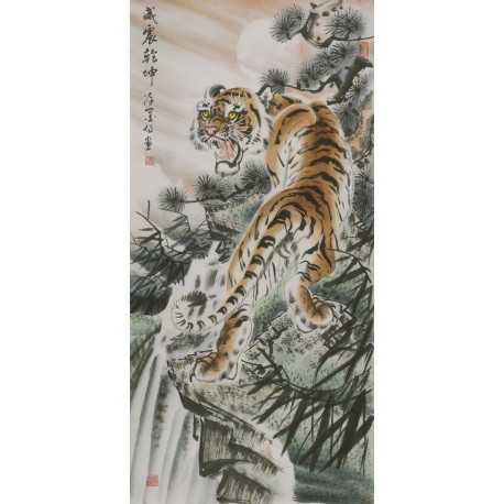 Tiger - CNAG000049