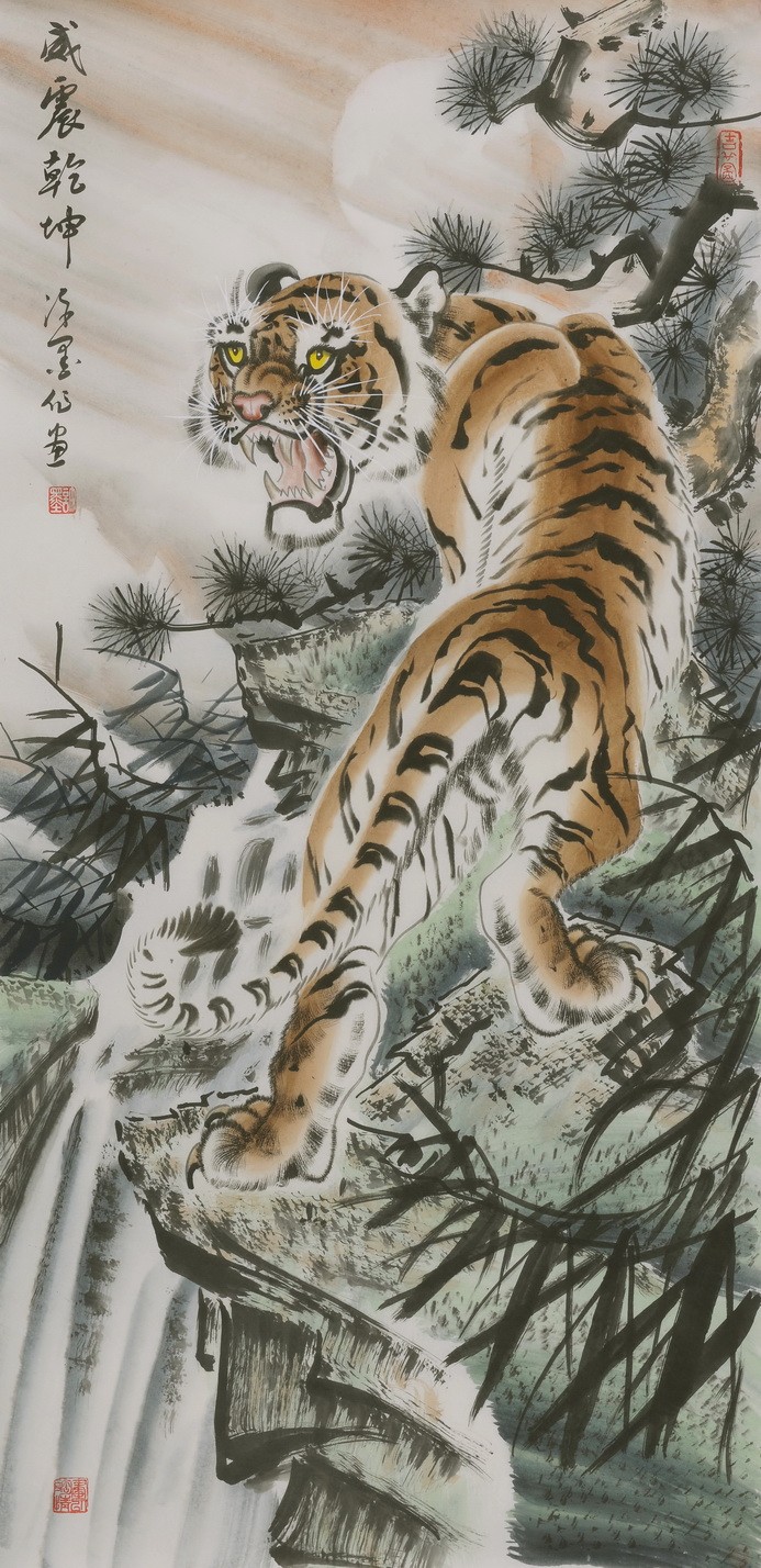 Tiger - CNAG000049