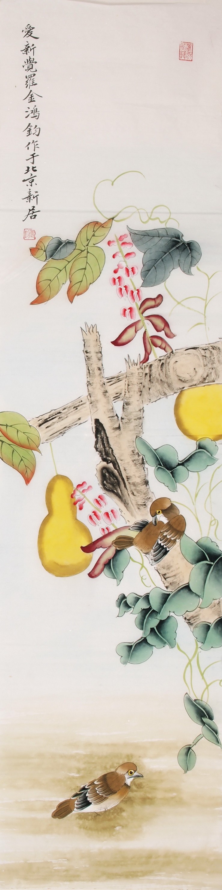 Other Birds - CNAG000493