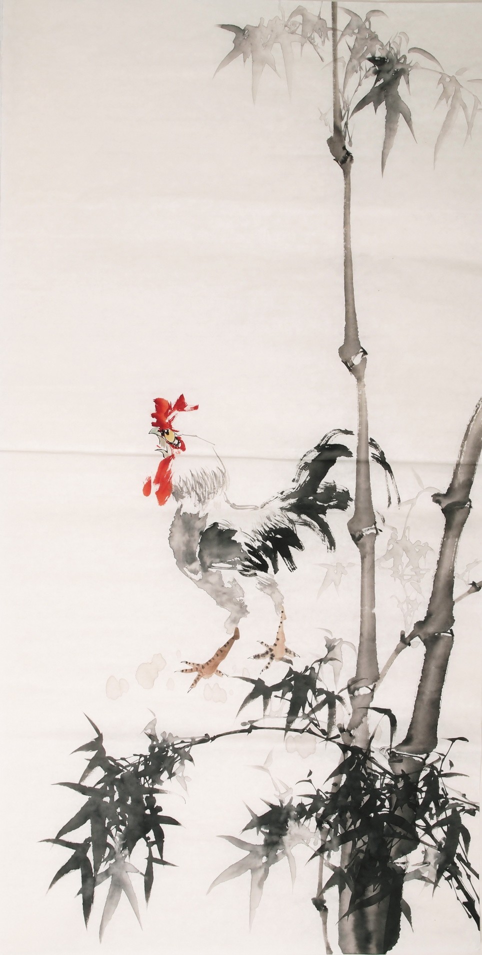 Chicken - CNAG000497