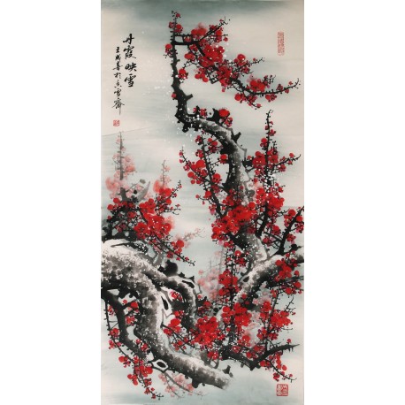 Plum - CNAG000500