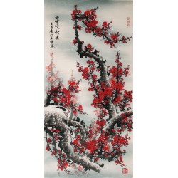 Plum - CNAG000502