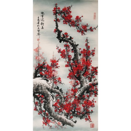 Plum - CNAG000502