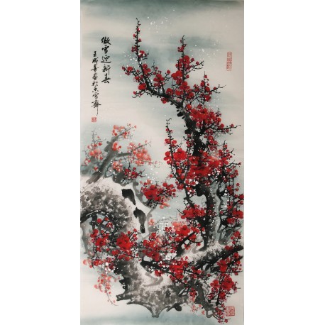Plum - CNAG000503