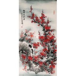 Plum - CNAG000505