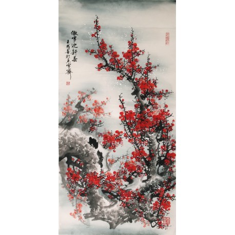 Plum - CNAG000505