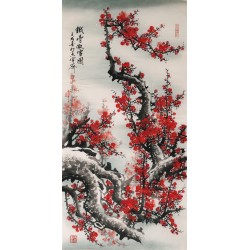 Plum - CNAG000506