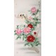 Peony - CNAG000510