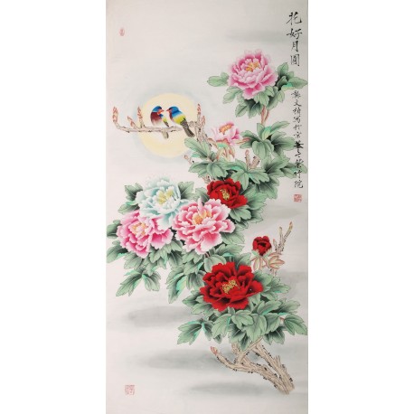 Peony - CNAG000510
