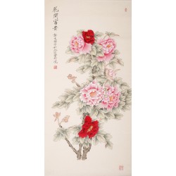 Peony - CNAG000511