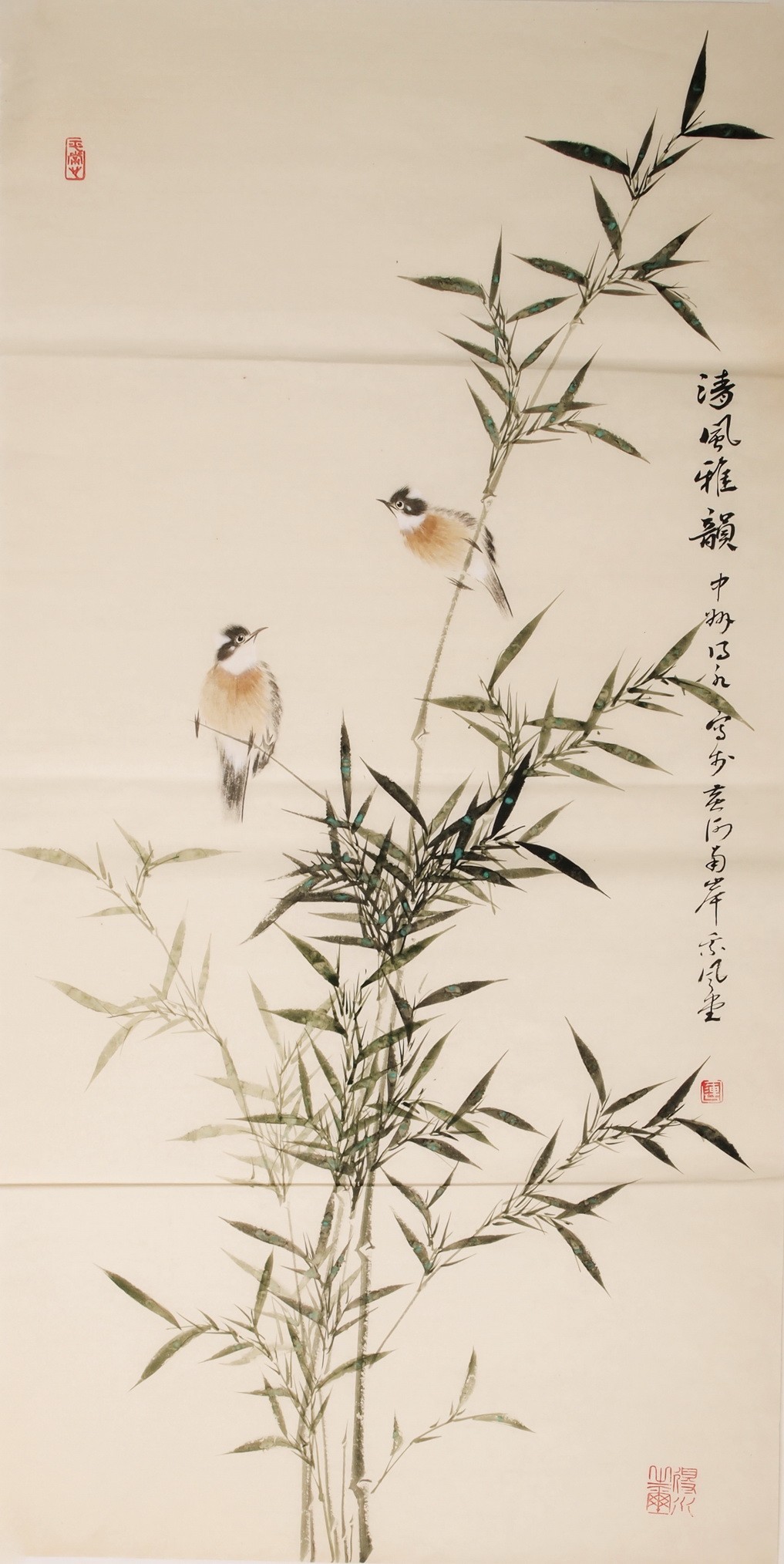 Green Bamboo - CNAG000512