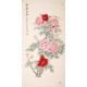 Peony - CNAG000513