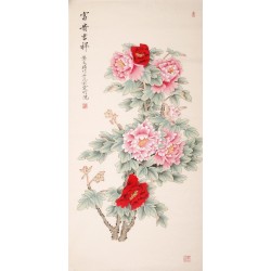 Peony - CNAG000513