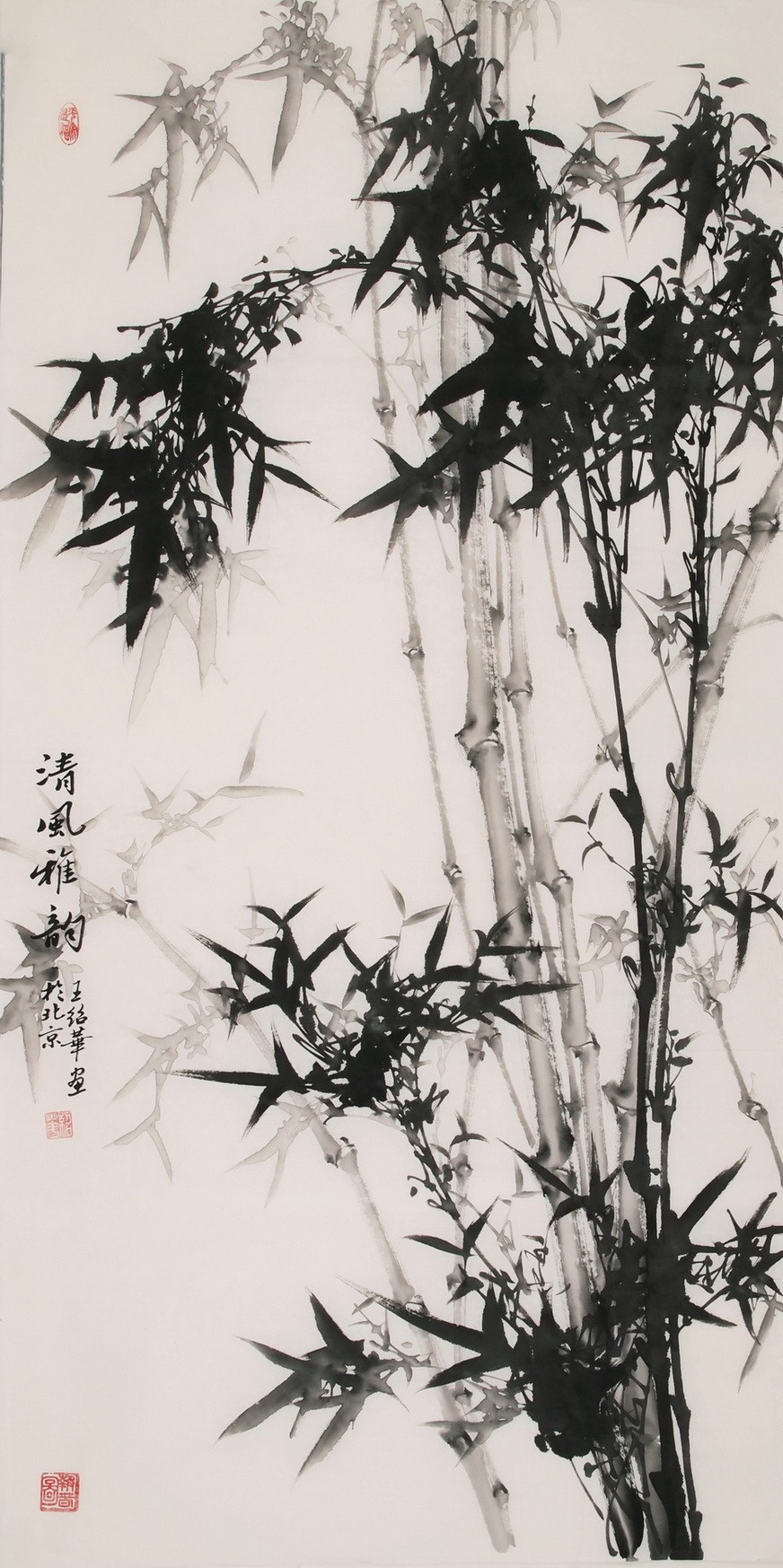 Ink Bamboo - CNAG000517