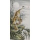 Tiger - CNAG000052
