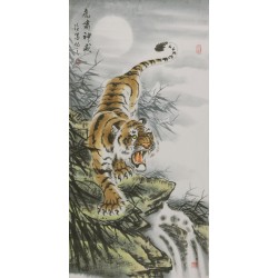 Tiger - CNAG000052