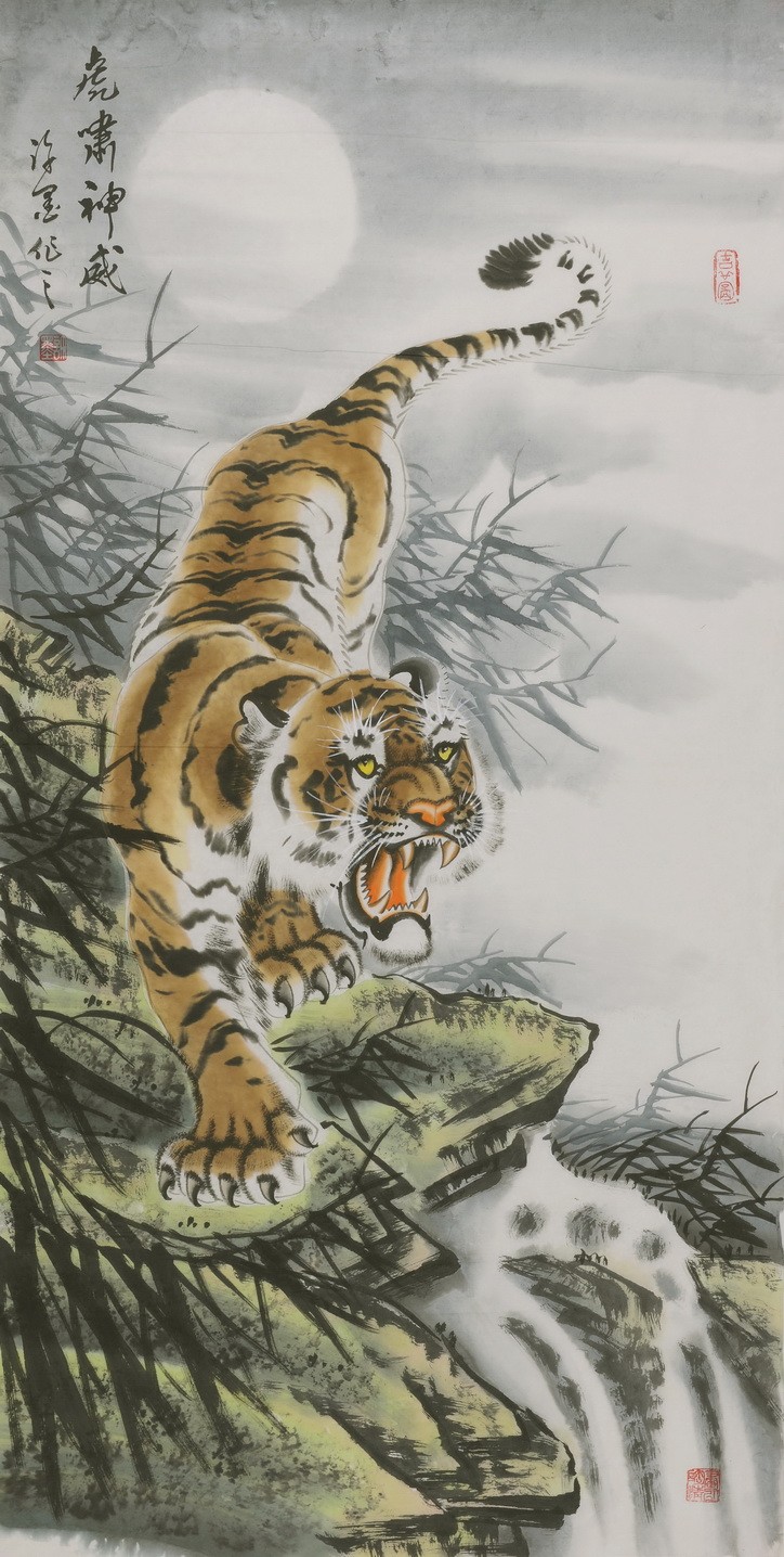 Tiger - CNAG000052