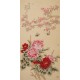 Peony - CNAG000520