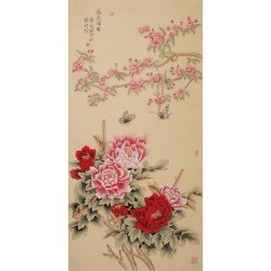 Peony - CNAG000520