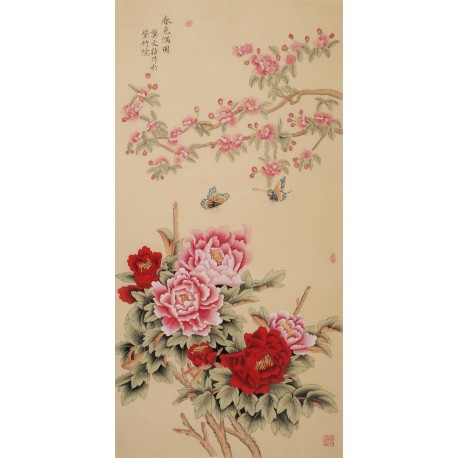 Peony - CNAG000520