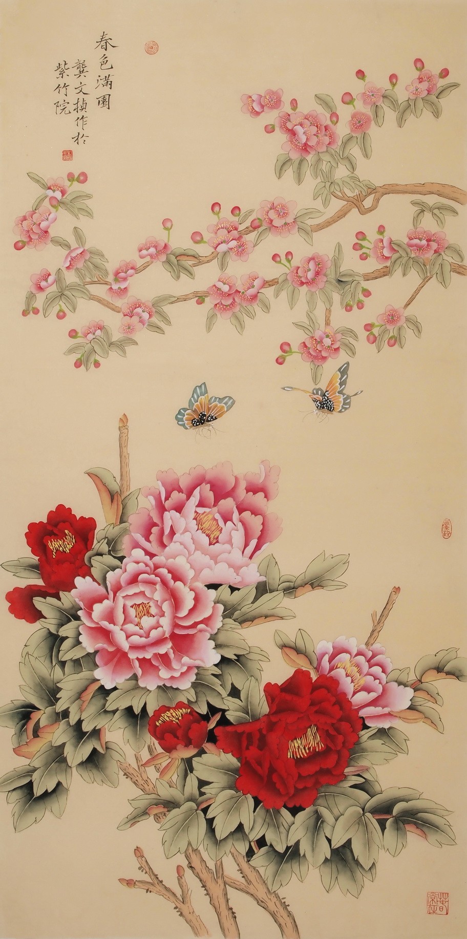 Peony - CNAG000520