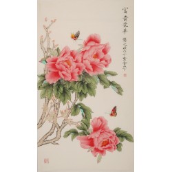 Peony - CNAG000522